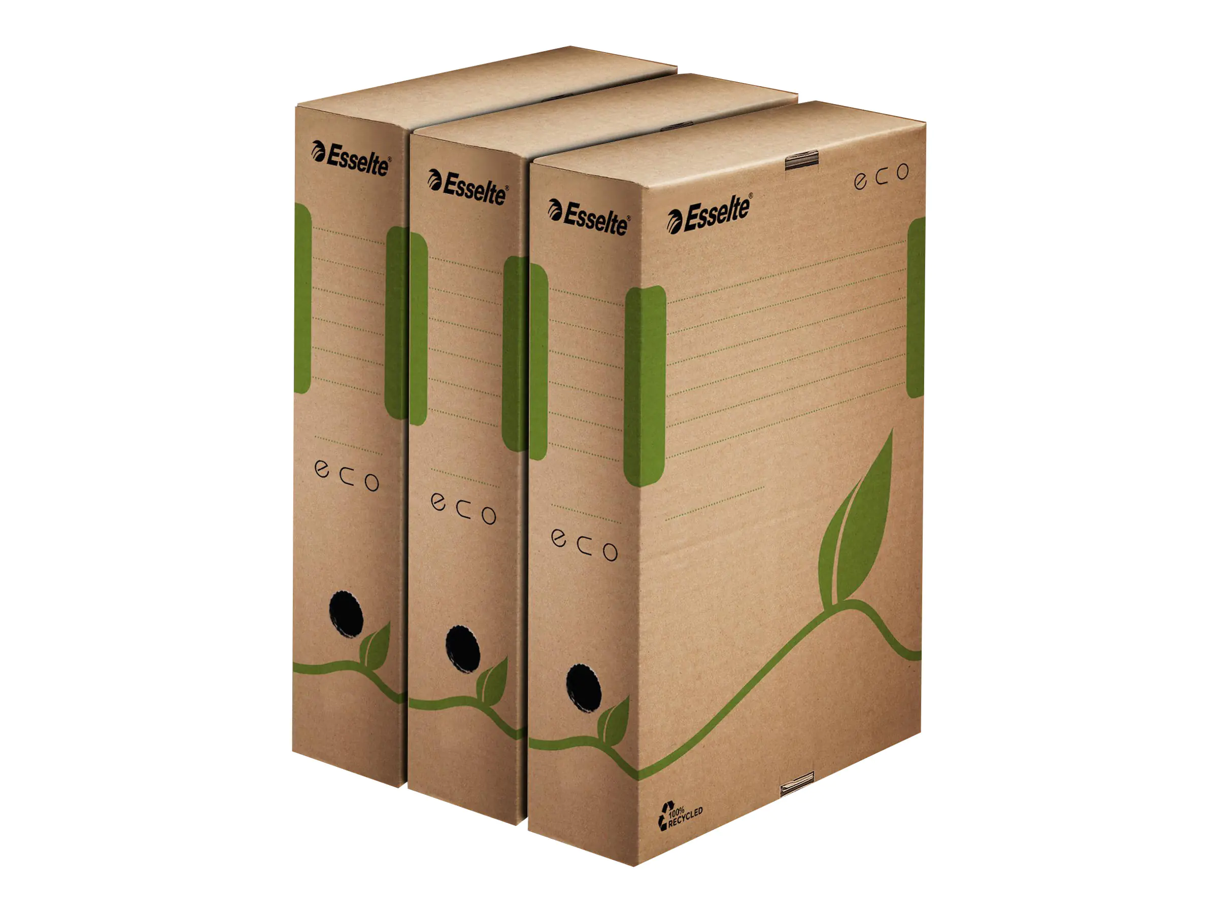 Esselte Leitz Eco - Aktenbox - Rückenbreite: 80 mm - für A4 (210 x 297 mm) 623916