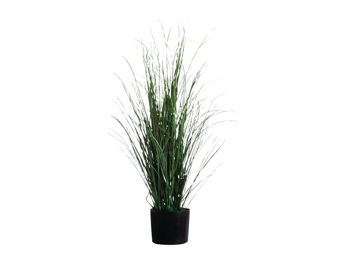 Paperflow Zimmerpflanze Gras 26 x 80 cm (B x H) PVC grün