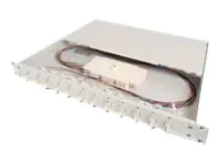 DIGITUS Professional DN-96330 - Glasfaserkabelkiste - 1U - 48.3 cm (19")