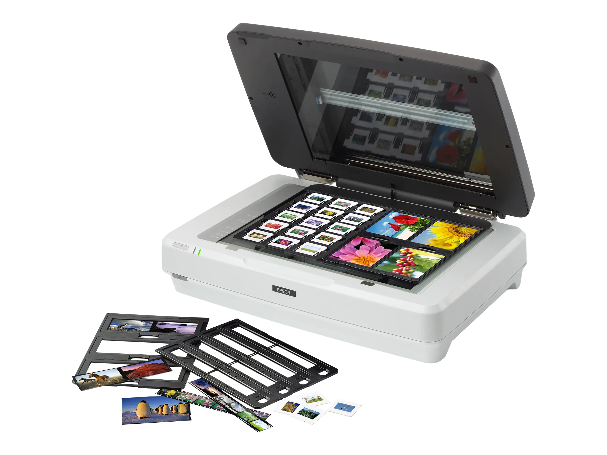 Epson Flachbettscanner B11B240401BT