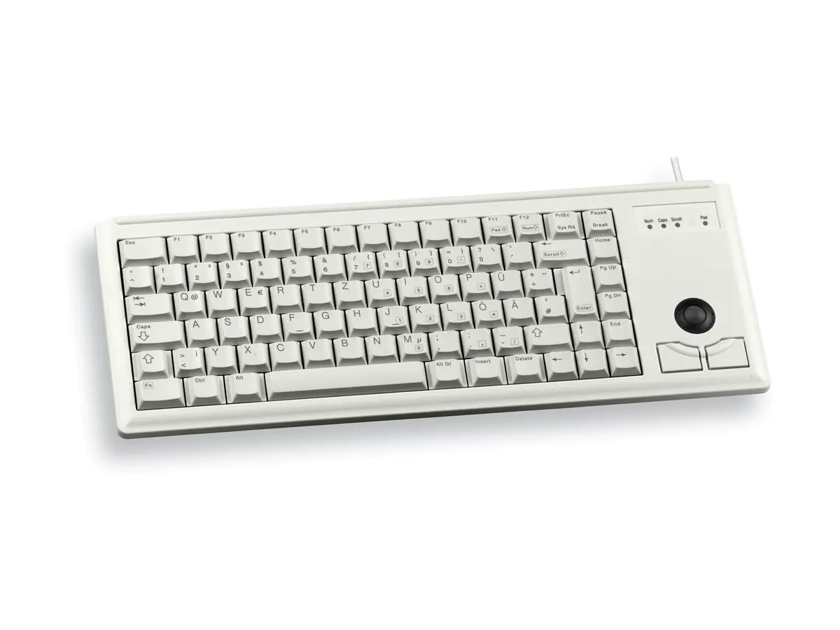 Cherry ML4420 - Tastatur - PS/2 - USA - Hellgrau