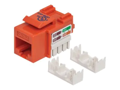 Intellinet Cat5e Modularbuchse, UTP, Keystone Jack, orange, benötigt LSA-Auflegewerkzeug - Keystone Jack - CAT 5e - UTP - orange - 1 Anschluss
