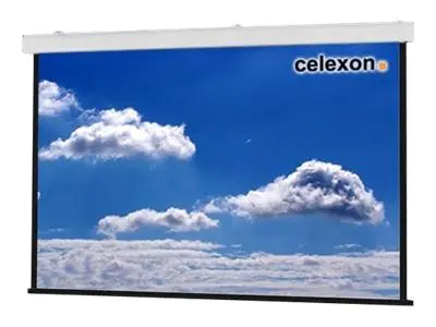 Celexon Expert XL electric screen - Leinwand - Deckenmontage möglich, geeignet für Wandmontage - motorisiert - 230 V - 500 cm (197") - 4:3 - weiß, RAL 9010