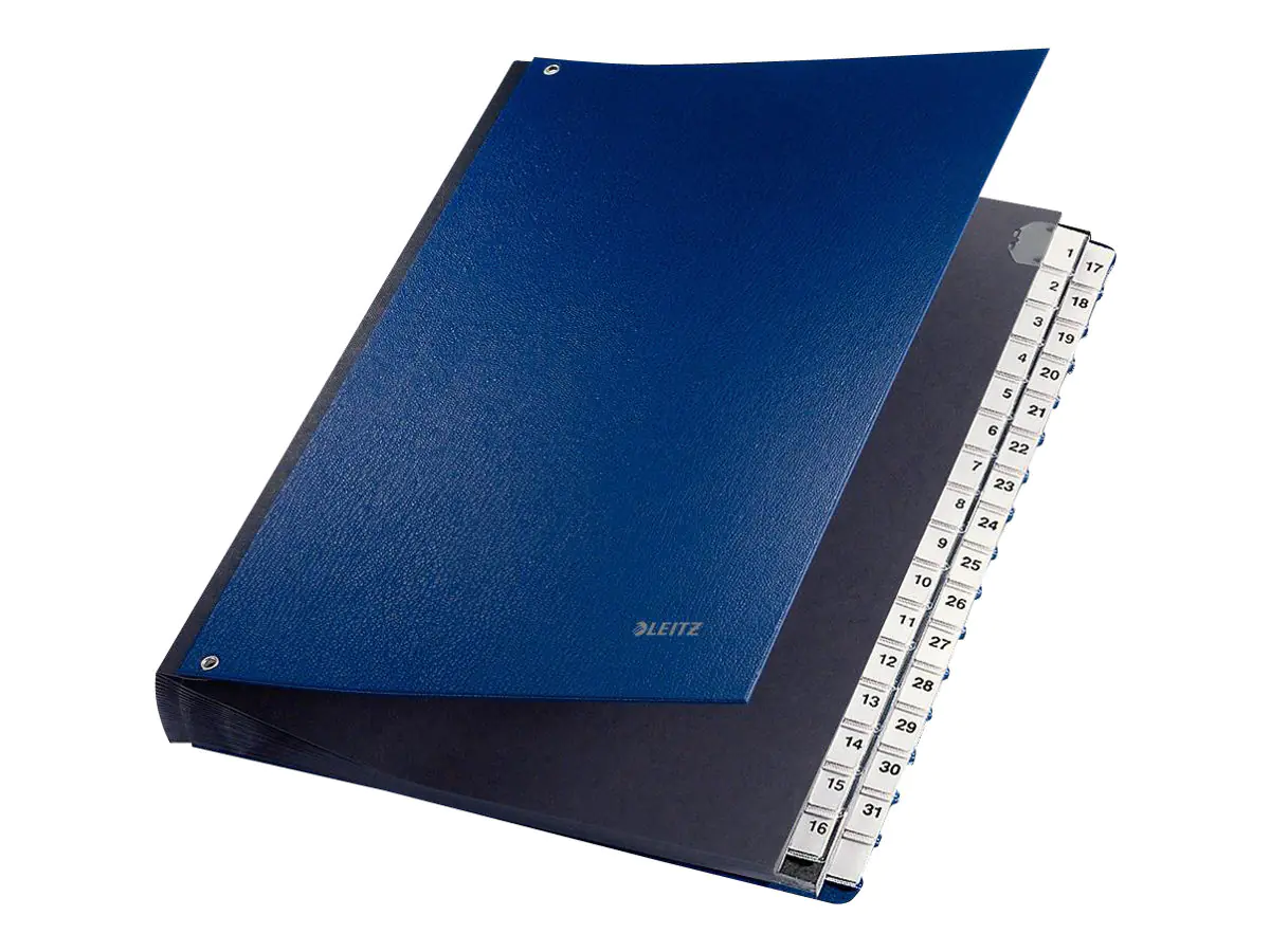 Esselte Leitz Gliederungsordner - 32 Teile - vorgedruckt: 1-31 - für A4 (210 x 297 mm) 5931-00-35