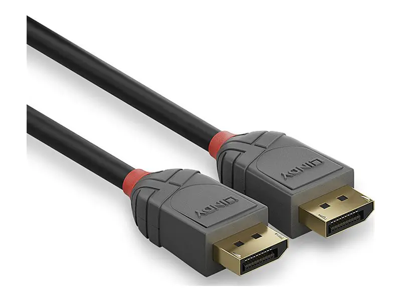 Lindy Anthra Line - DisplayPort-Kabel - DisplayPort (M) zu DisplayPort (M) - DisplayPort 1.4 - 50 cm - rund - Schwarz