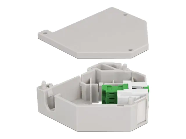 Delock Keystone Jack-DIN-Adapter für Schienenmontage