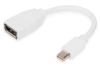 DIGITUS - DisplayPort-Adapter - Mini DisplayPort (M) zu DisplayPort (W) - DisplayPort 1.2 - 15 cm - geformt, Support von 4K 60 Hz - weiß