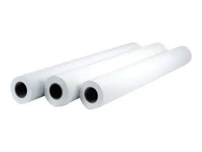 HP Professional Matte Canvas - Matt - 22 mil - Rolle (152,4 cm x 15,2 m)