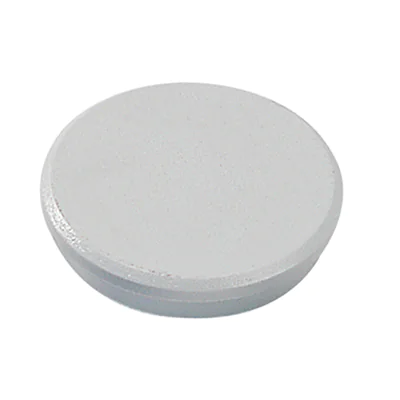 DAHLE Magnet 32mm 0,8kg grau 10 St./Pack.