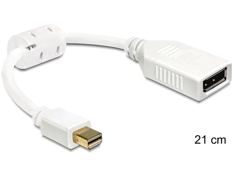 Delock - DisplayPort-Adapter - DisplayPort (W) zu Mini DisplayPort (M) - 21 cm