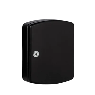 BURG-WÄCHTER Schlüsselschrank KB 24 20 x 25,5 x 7,5 cm (B x H x T) inkl. 2 Schlüssel Stahlblech schwarz