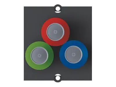 Bachmann Custom Module 1 x Cinch video RGB 917.090