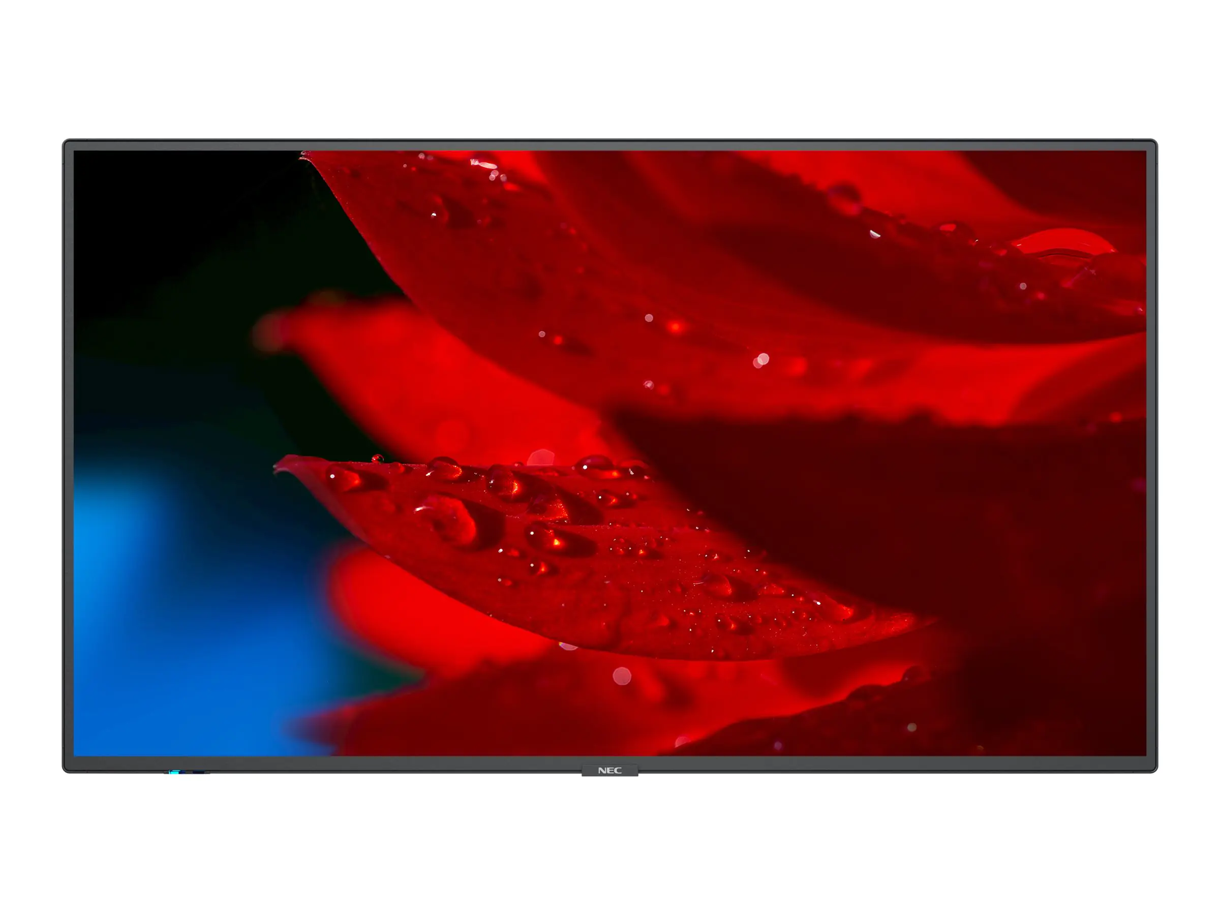 NEC MultiSync MA551 - 138.8 cm (55") Diagonalklasse MA Series LCD-Display mit LED-Hintergrundbeleuchtung - Digital Signage - 4K UHD (2160p) 3840 x 2160 - HDR - Edge-Beleuchtung - Schwarz