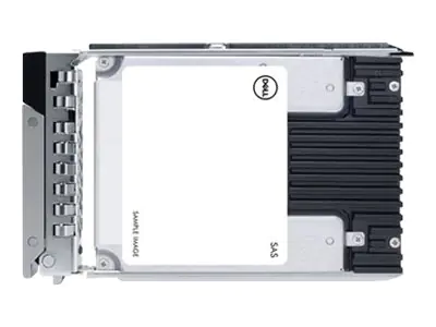 Dell - Kunden-Kit - SSD - Mixed Use - 960 GB - Hot-Swap - 2.5" (6.4 cm) - SATA 6Gb/s - für PowerEdge C6420 (2.5")