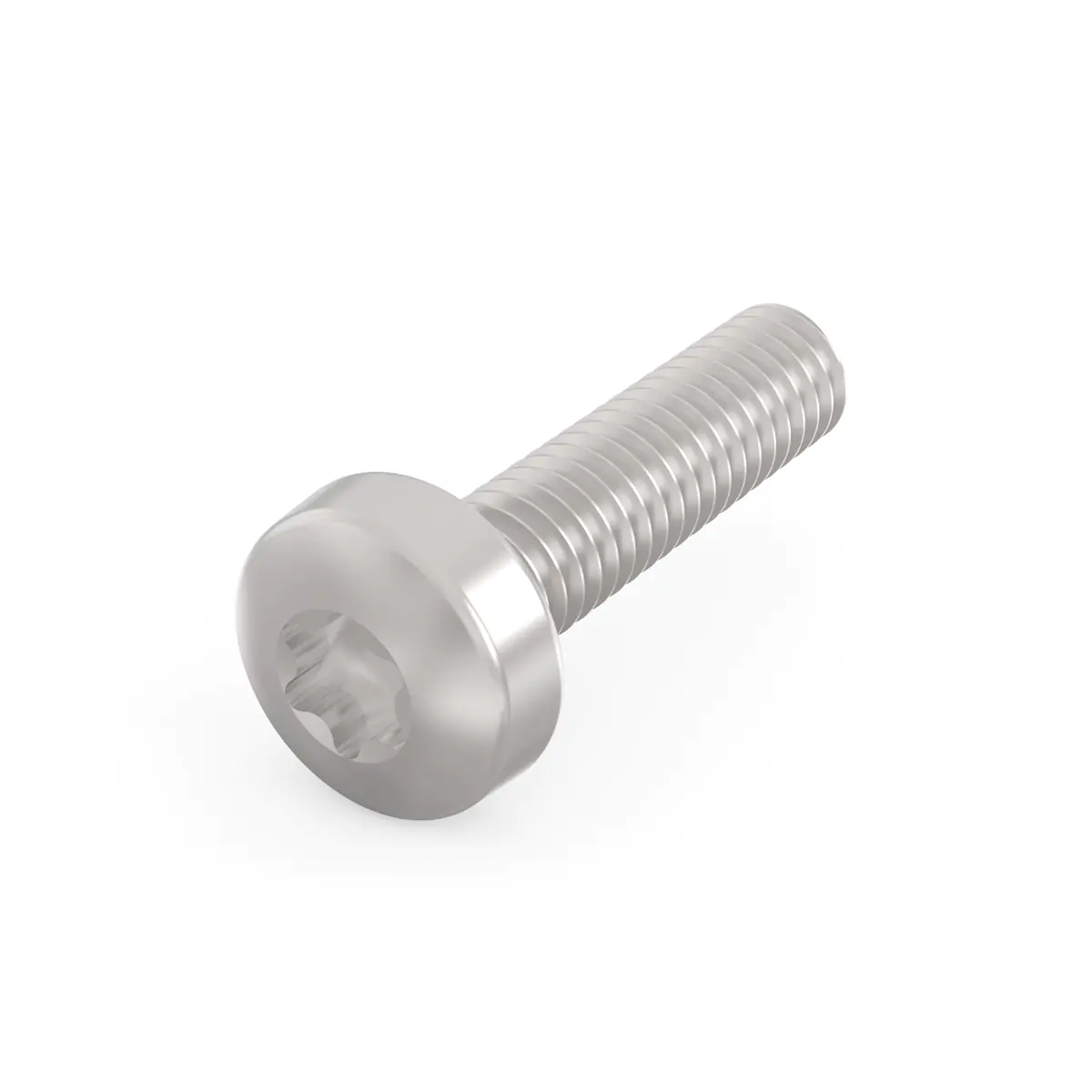 SCHROFF Torx-LINSKOSCHR 2.5X10 100ST 24560148