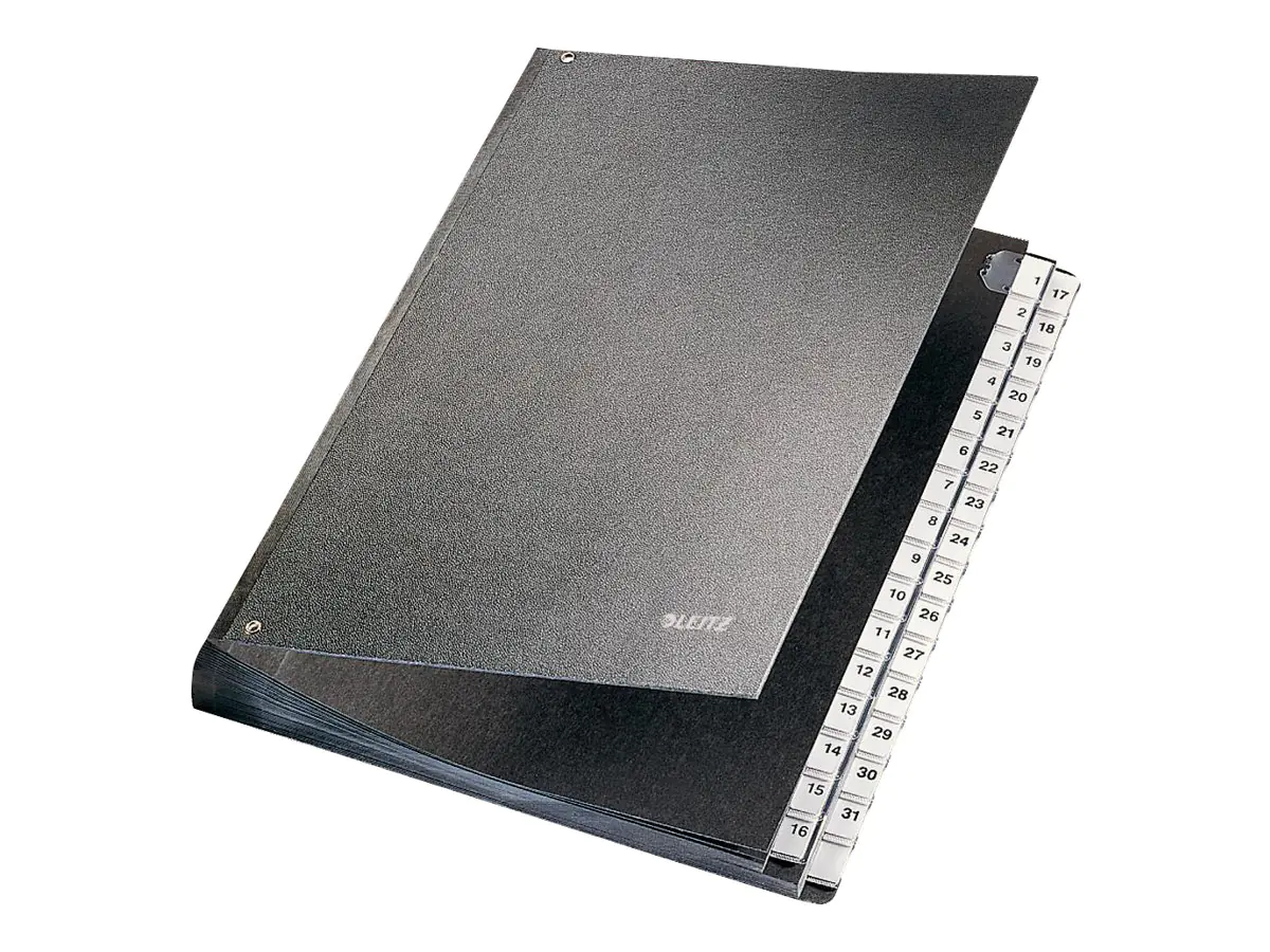 Esselte Leitz Gliederungsordner - 32 Fächer - 32 Teile - vorgedruckt: 1-31 - für A4 (210 x 297 mm) 58310095
