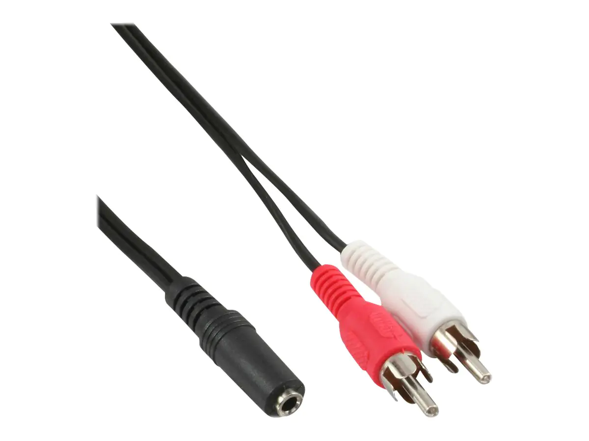 InLine - Audiokabel - RCA x 2 männlich zu mini-phone stereo 3.5 mm weiblich - 5 m - abgeschirmt - Schwarz