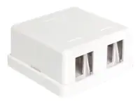 Delock Keystone Surface Mounted Box - Gehäuse 86207