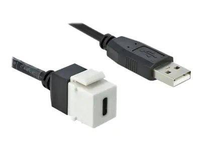 Delock Keystone module - Modulare Eingabe - USB Typ C - weiß