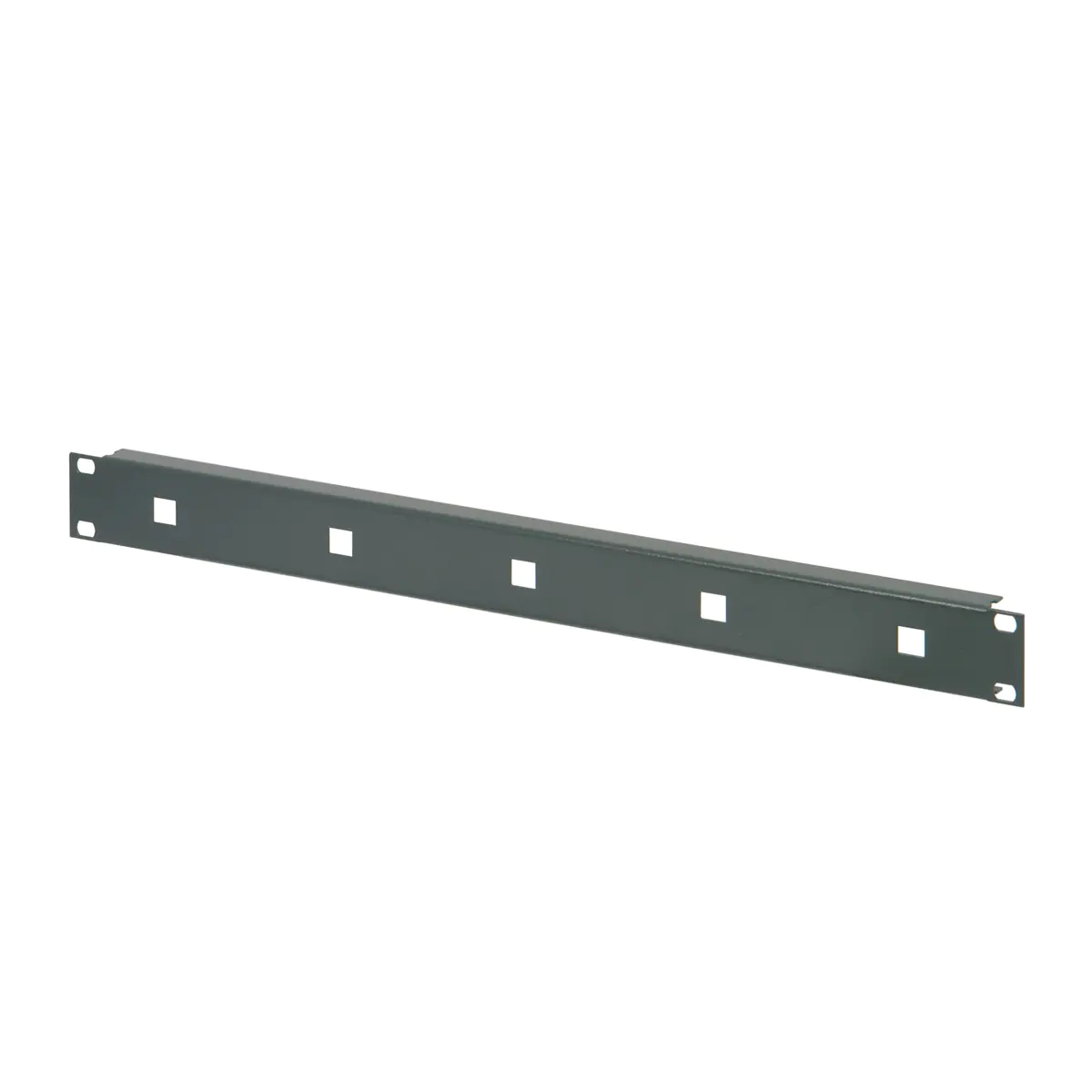 SCHROFF 19"FRONT PANEL 1U 1,5MM C.EYES RAL7021