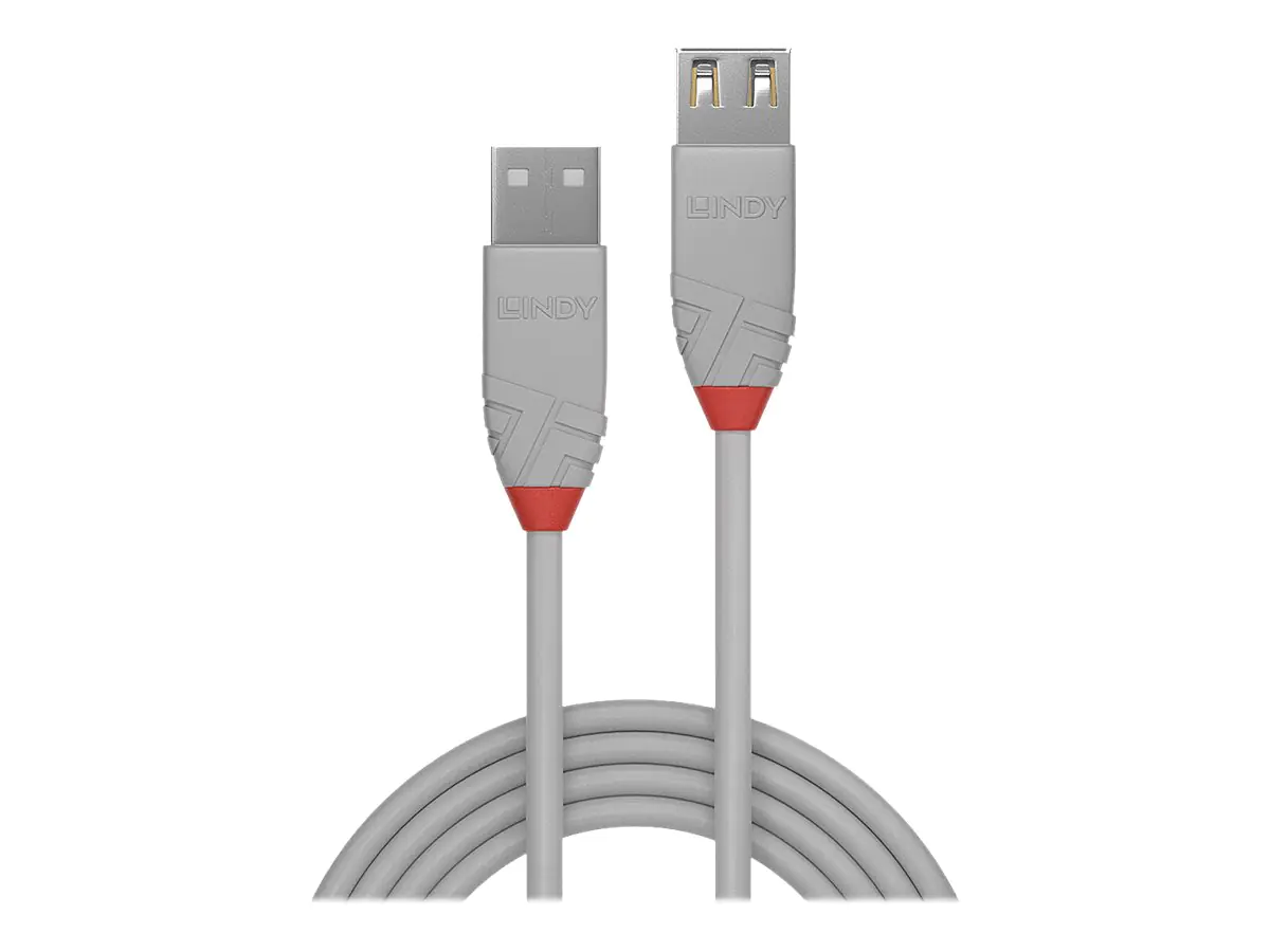 Lindy Anthra Line - USB-Kabel - USB (M) zu USB (M) - USB 2.0 - 5 m - rund - Grau