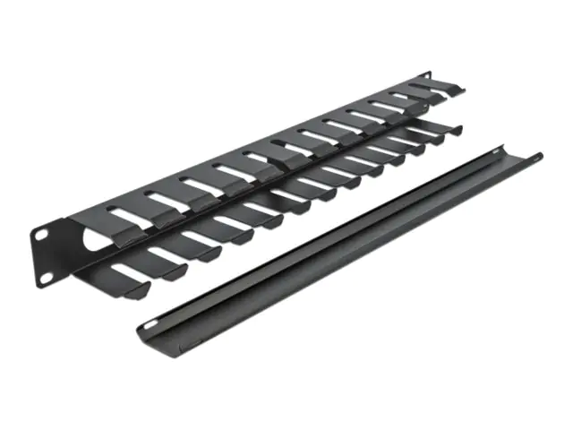 DeLOCK - Kabelführungsplatte für Schaltschrank - Schwarz - 1U - 48.3 cm (19")