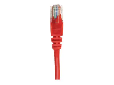 Intellinet Network Patch Cable, Cat5e, 0.5m, Red, CCA, U/UTP, PVC, RJ45, Gold Plated Contacts, Snagless, Booted, Lifetime Warranty, Polybag - Patch-Kabel - RJ-45 (M) zu RJ-45 (M) - 45 cm - UTP - CAT 5e - geschirmt, ohne Haken - Rot