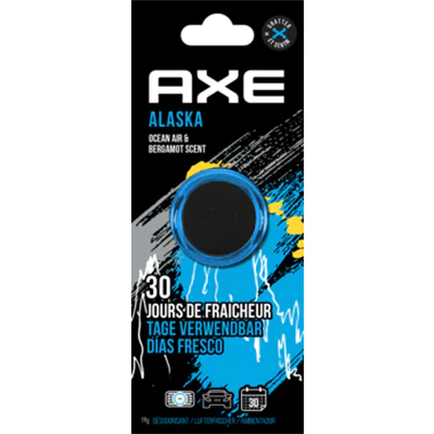AXE Lufterfrischer Mini Vent Alaska