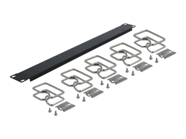 Delock - Kabelführungsplatte für Schaltschrank - Schwarz - 1U - 48.3 cm (19")