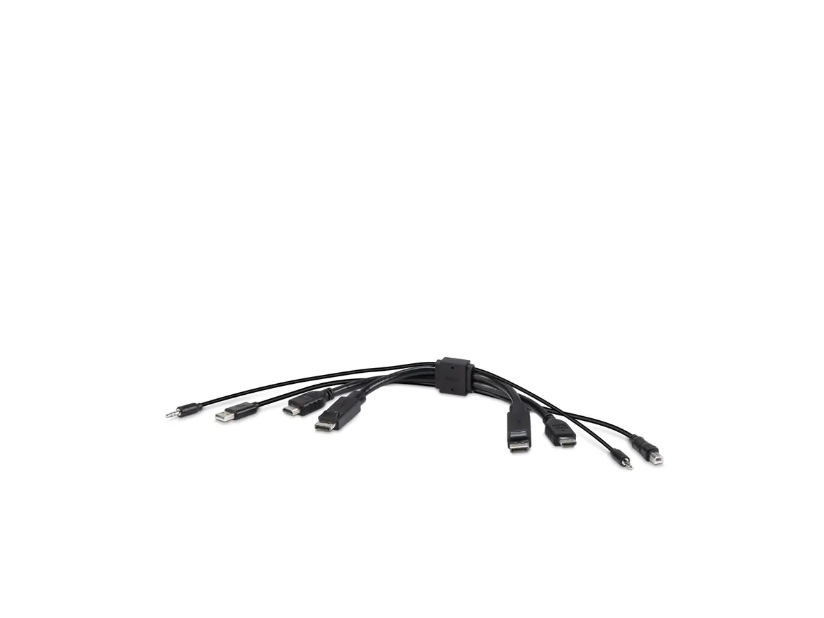 Belkin Secure KVM Combo Cable - Video- / USB- / Audio-Kabel - TAA-konform - USB, Mini-Stecker, HDMI, DisplayPort (M) F1DN2CC-HHPP1T