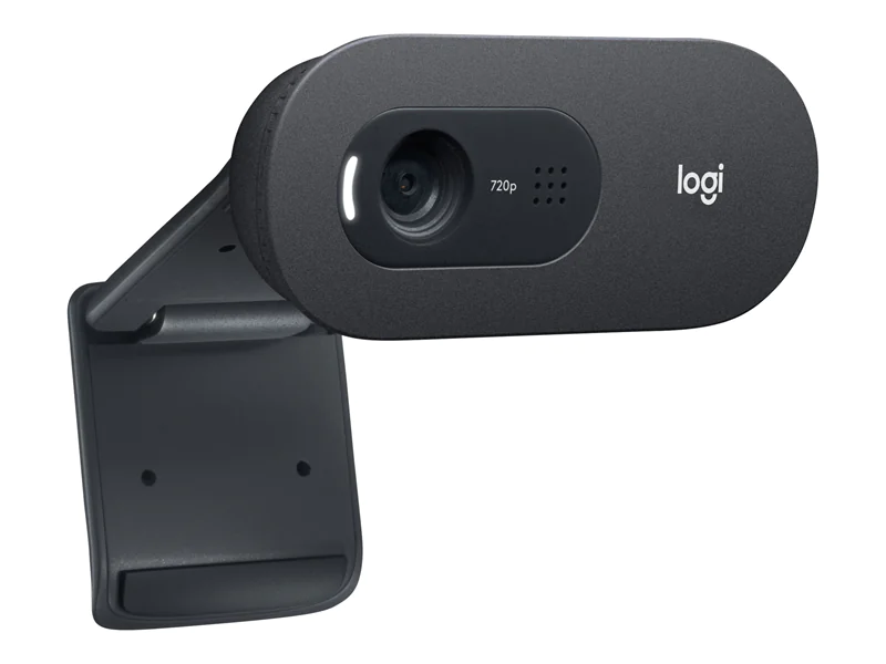 Logitech C505e - Webcam - Farbe - 720p - feste 960-001372
