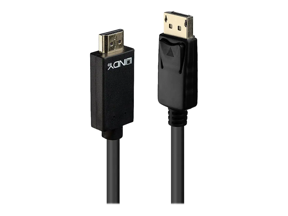 Lindy - Videokabel - DisplayPort (M) bis HDMI (M) - 2 m