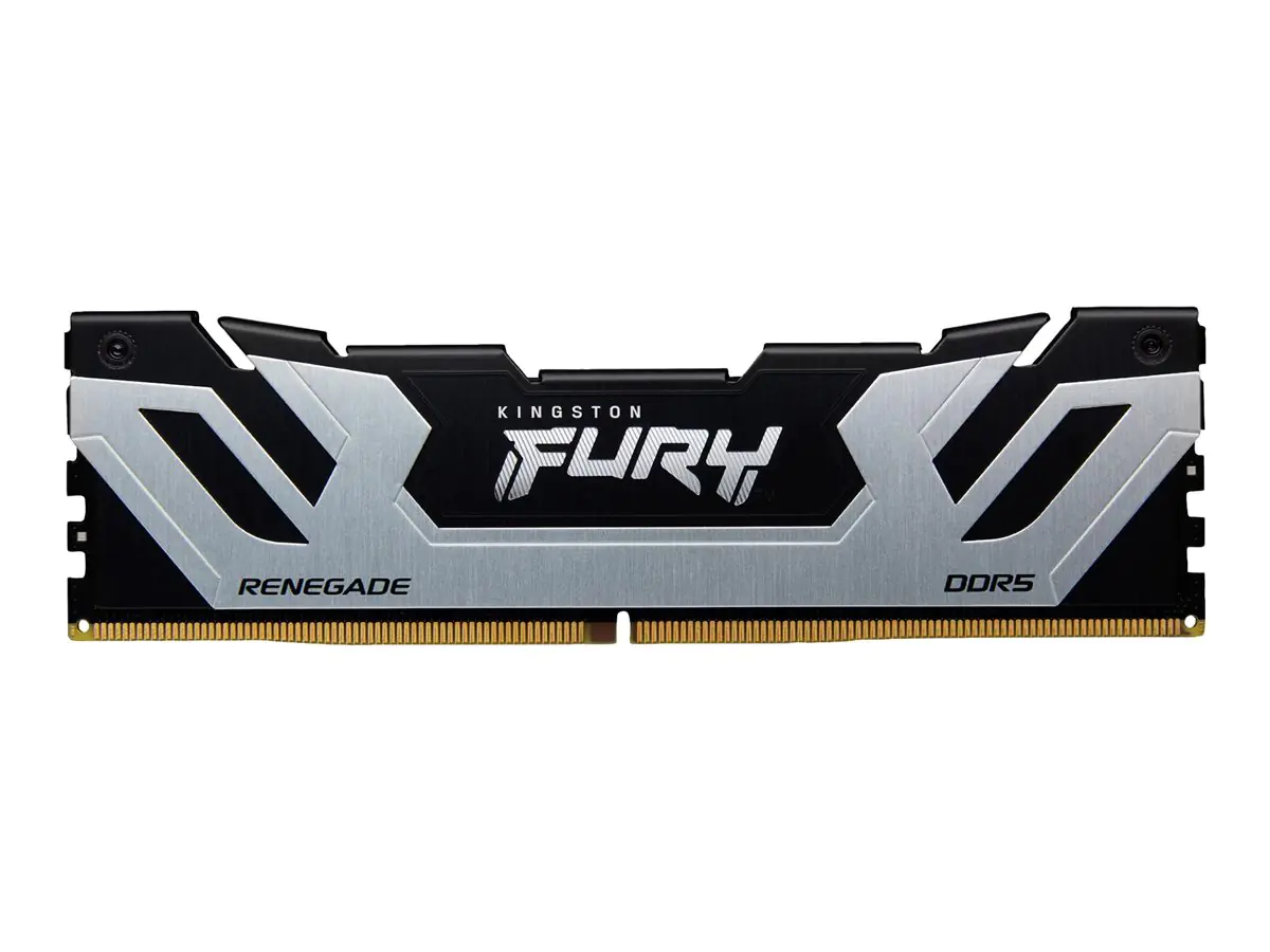 Kingston FURY Renegade - DDR5 - Modul - 24 GB KF584CU40RS-24