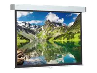 Projecta Hapro CSR Video Format - Leinwand - Deckenmontage möglich, geeignet für Wandmontage - 363 cm (143") 10240343