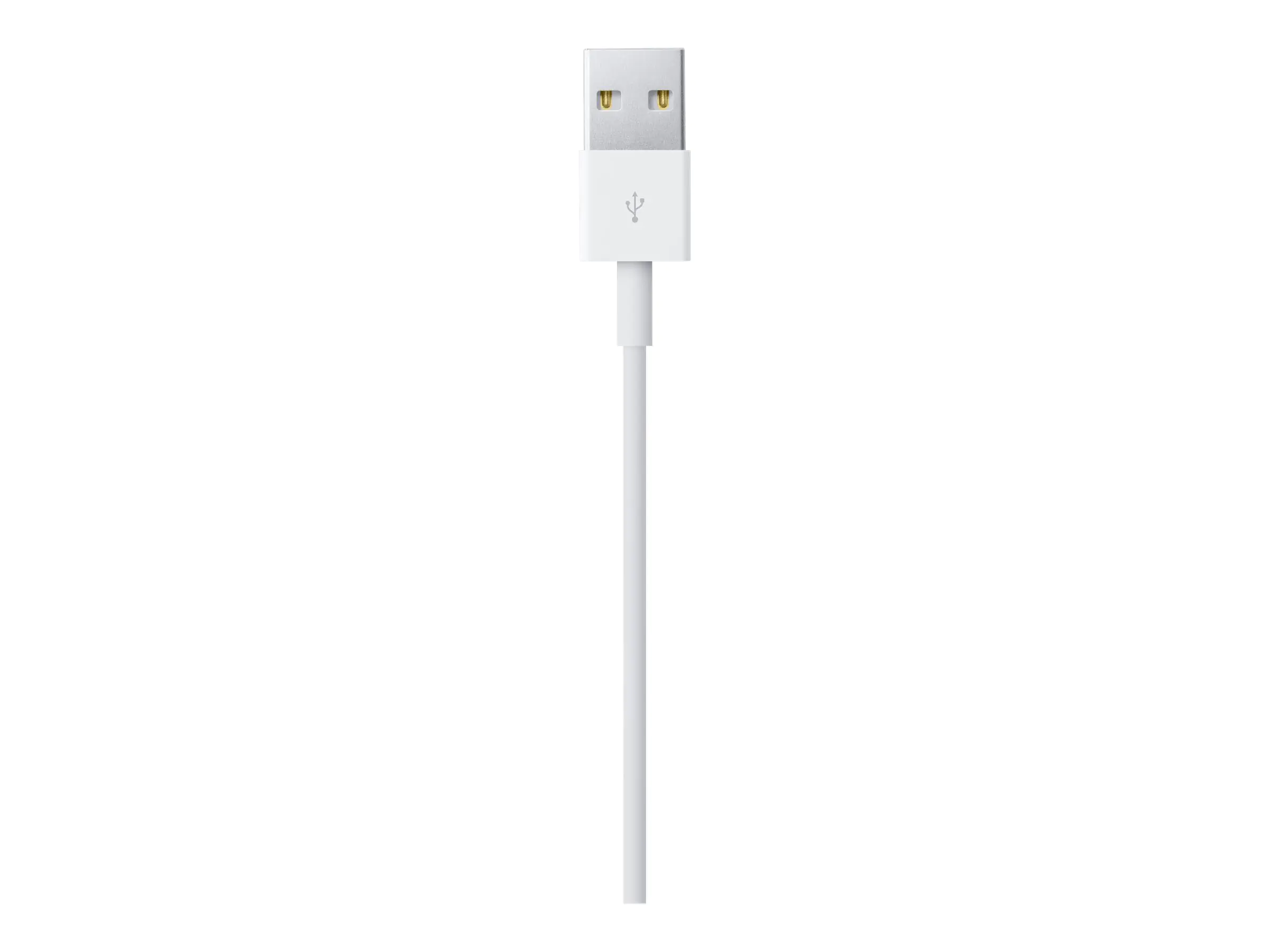 Apple Lightning-Kabel - Lightning männlich MXLY2ZM/A