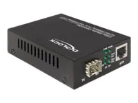 Delock Delock Media Converter 10/100/1000Base-T to 100/1000Base-X SFP - Medienkonverter - GigE - 10Base-T, 100Base-TX, 1000Base-T, 1000Base-X, 100Base-X - RJ-45 / SFP (mini-GBIC)