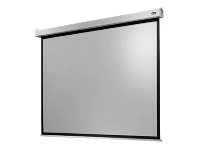 celexon Electric Professional Plus Data format - Leinwand - Deckenmontage möglich, geeignet für