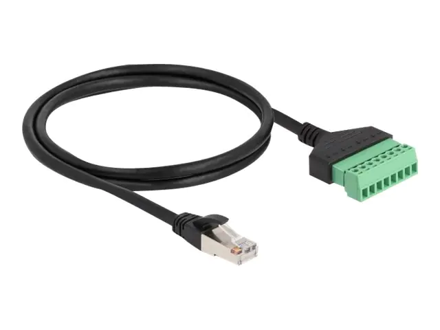 Delock Netzwerkkabel - RJ-45 (M) zu 8-polige 65977