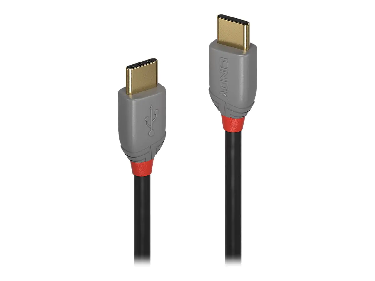 Lindy Anthra Line - USB-Kabel - 24 pin USB-C (M) zu 24 pin USB-C (M) - USB 2.0 - 50 cm - rund - Schwarz