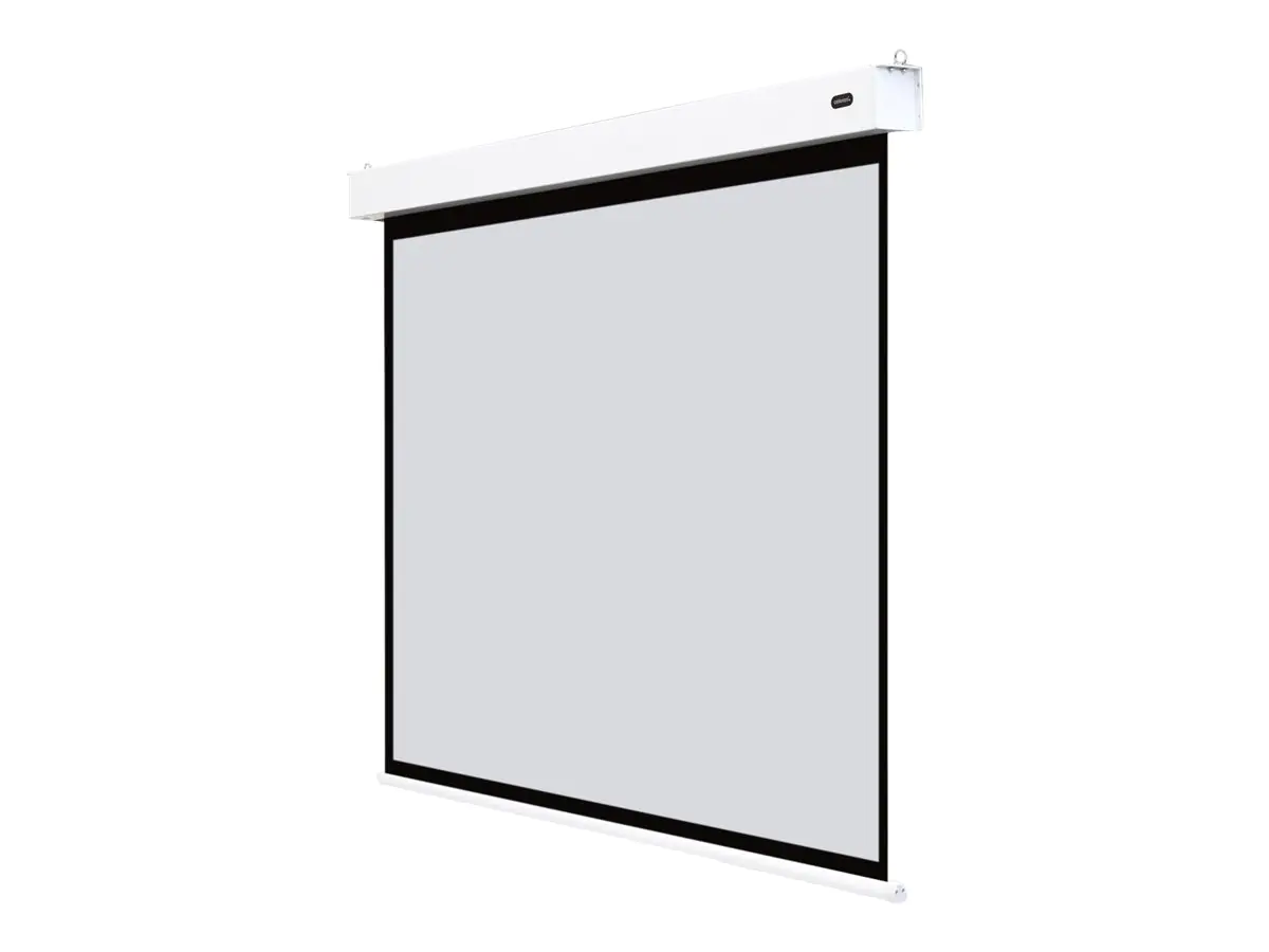 celexon Motor Professional Plus - Leinwand - Deckenmontage möglich, geeignet für Wandmontage -