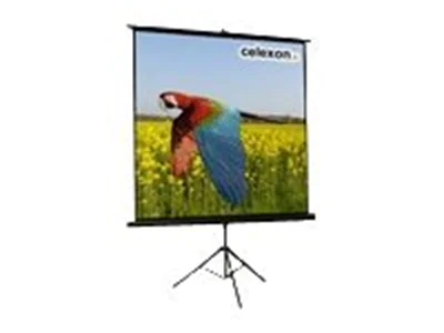 Celexon Economy tripod screen - Projektionsbildschirm mit Stativ - 1:1