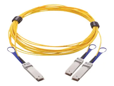 Mellanox - 200GBase Direktanschlusskabel - QSFP28 bis QSFP28 - 30 m - Glasfaser - SFF-8665 - halogenfrei, aktiv