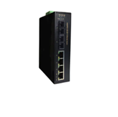 Barox PC-IA402-S - Unmanaged - L2 - Fast Ethernet (10/100) - Vollduplex - Wandmontage