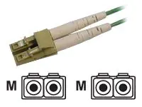 Fujitsu Fibre Channel-Kabel - LC Multi-Mode (M)