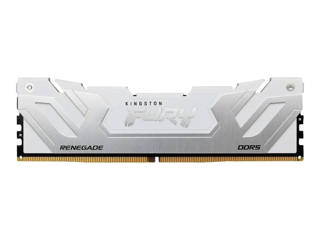 Kingston FURY Renegade - DDR5 - Modul - 24 GB KF580C38RW-24