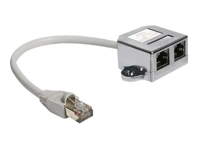 Delock RJ45 Port Doubler - Ethernet 100Base-TX- RJ-45 (M) bis RJ-45 (4-PIN) (W) - 15 cm - 65177