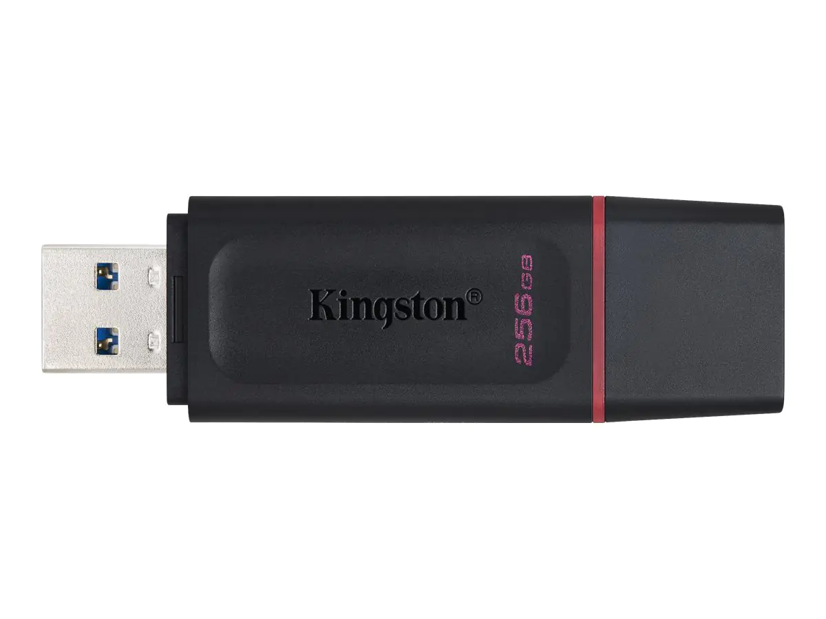 Kingston DataTraveler Exodia - USB-Flash-Laufwerk - 256 GB - USB 3.2 Gen 1 - Schwarz/Pink