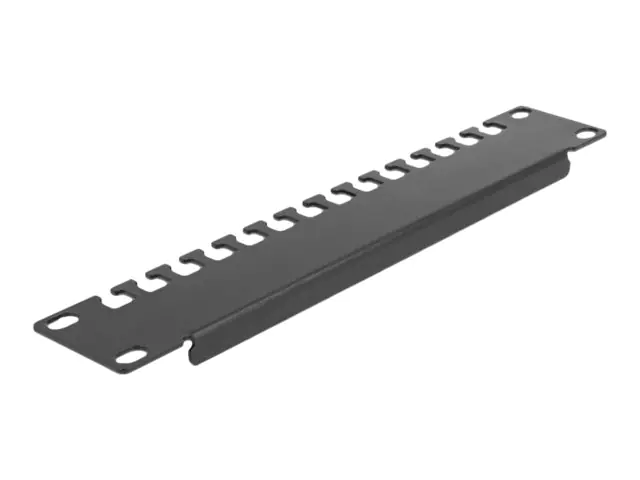 Delock Kabelmanagementschiene - Rack montierbar - Schwarz - 1U - 25.4 cm (10")