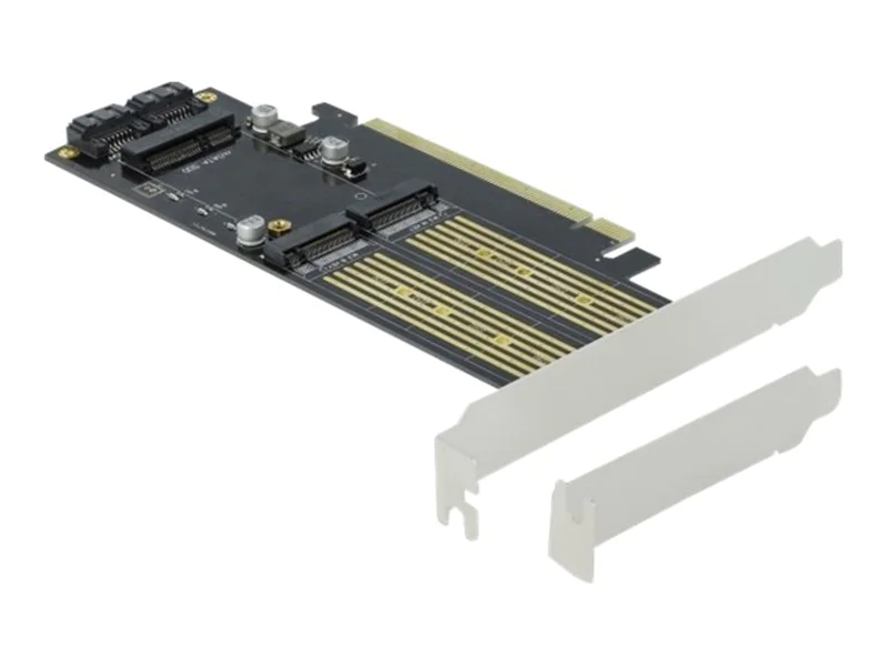 Delock - Speicher-Controller - mSATA, M.2 - M.2 Card / mSATA - Low-Profile - SATA 6Gb/s, PCIe 4.0 x16