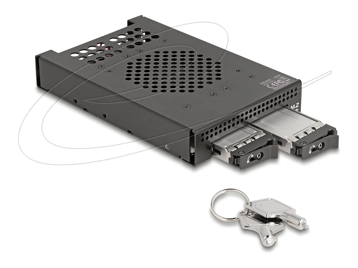 Delock Mobiles Speicher-Rack - M.2